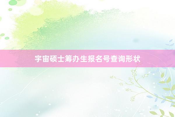 宇宙硕士筹办生报名号查询形状